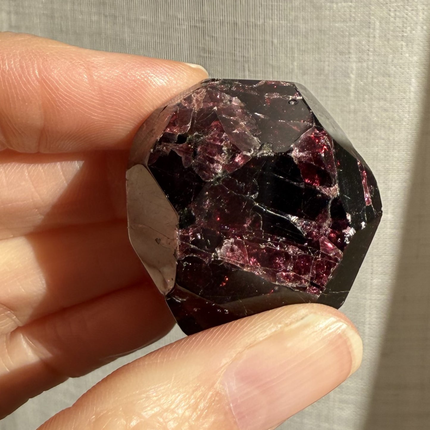 Faceted Garnet 7 - Premium Grade