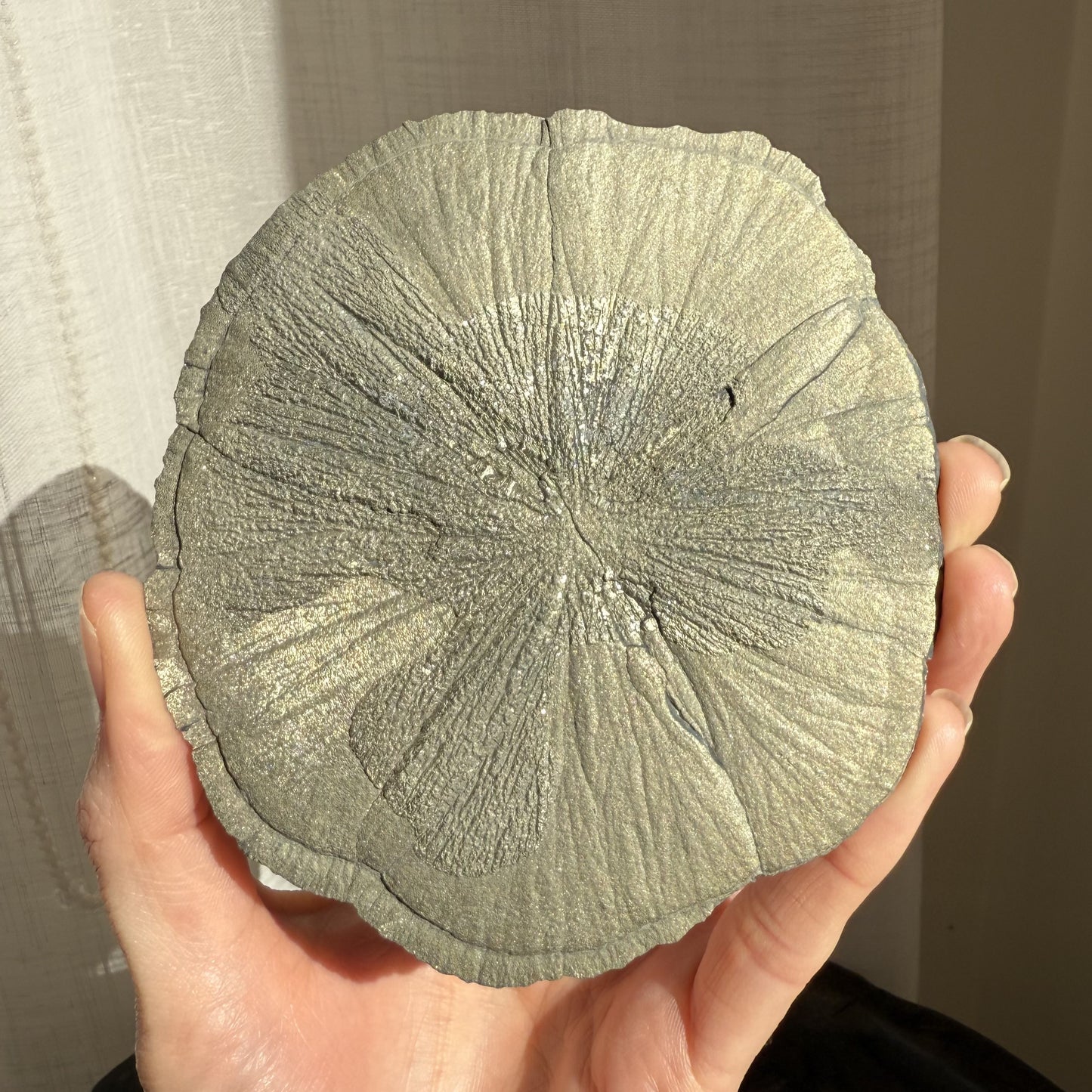 Pyrite Sun 001