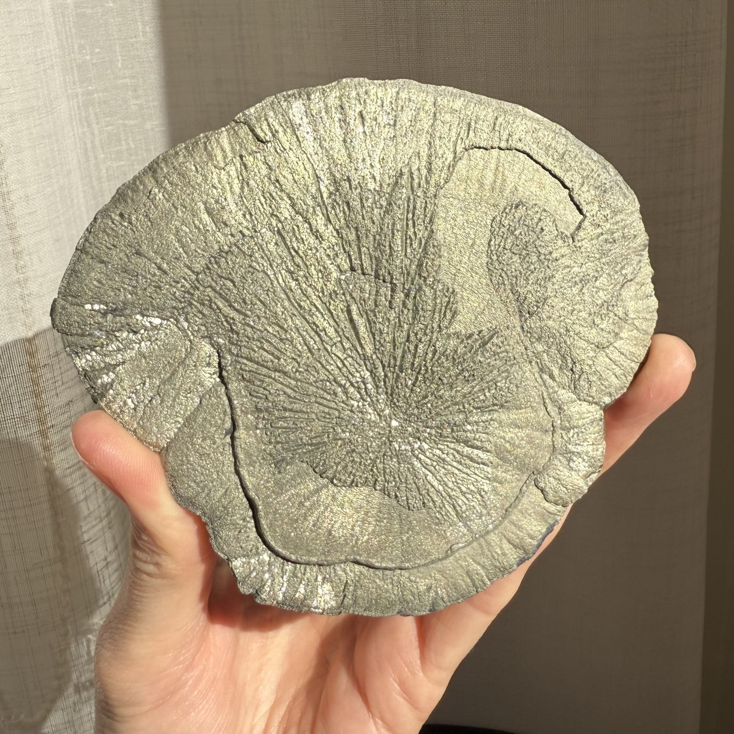 Pyrite Sun 002