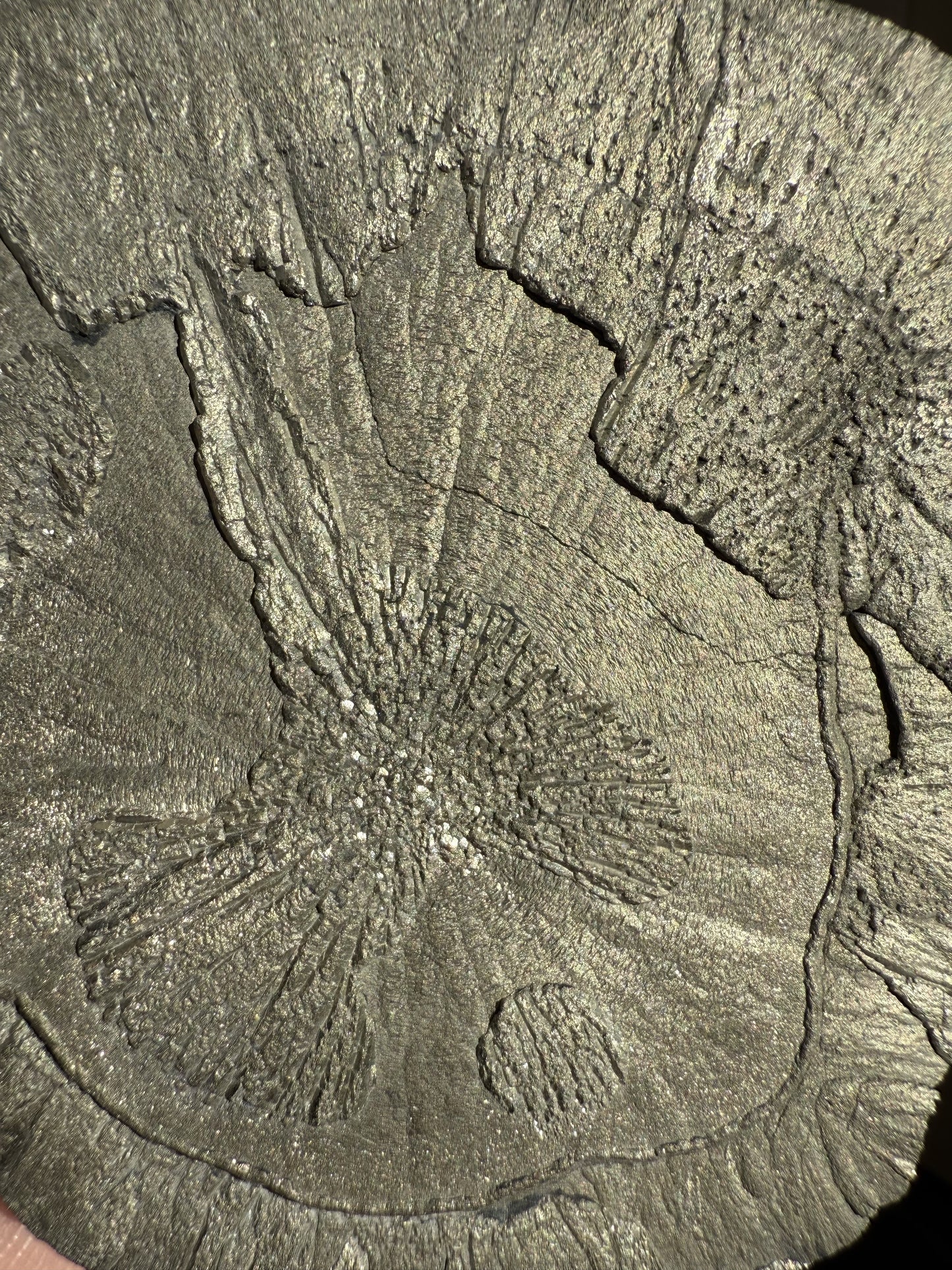 Pyrite Sun 002