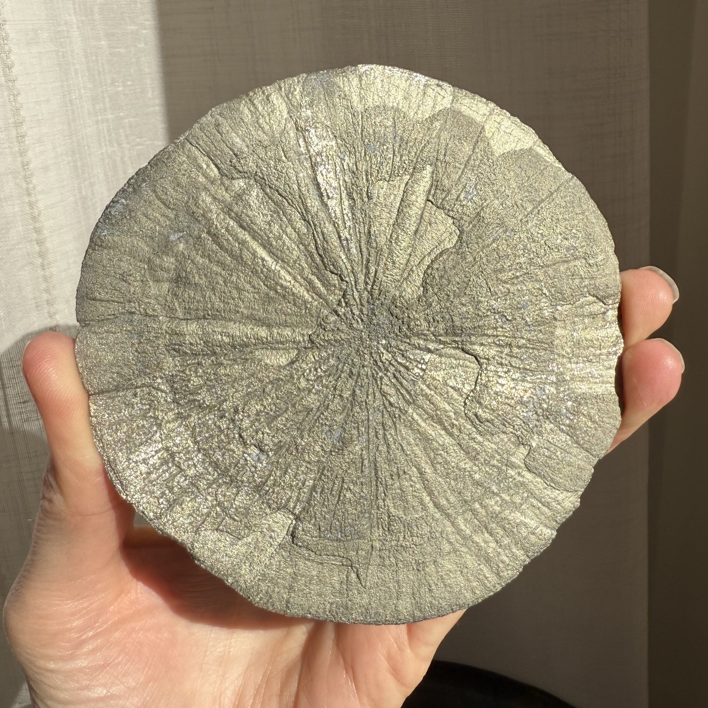 Pyrite Sun 003