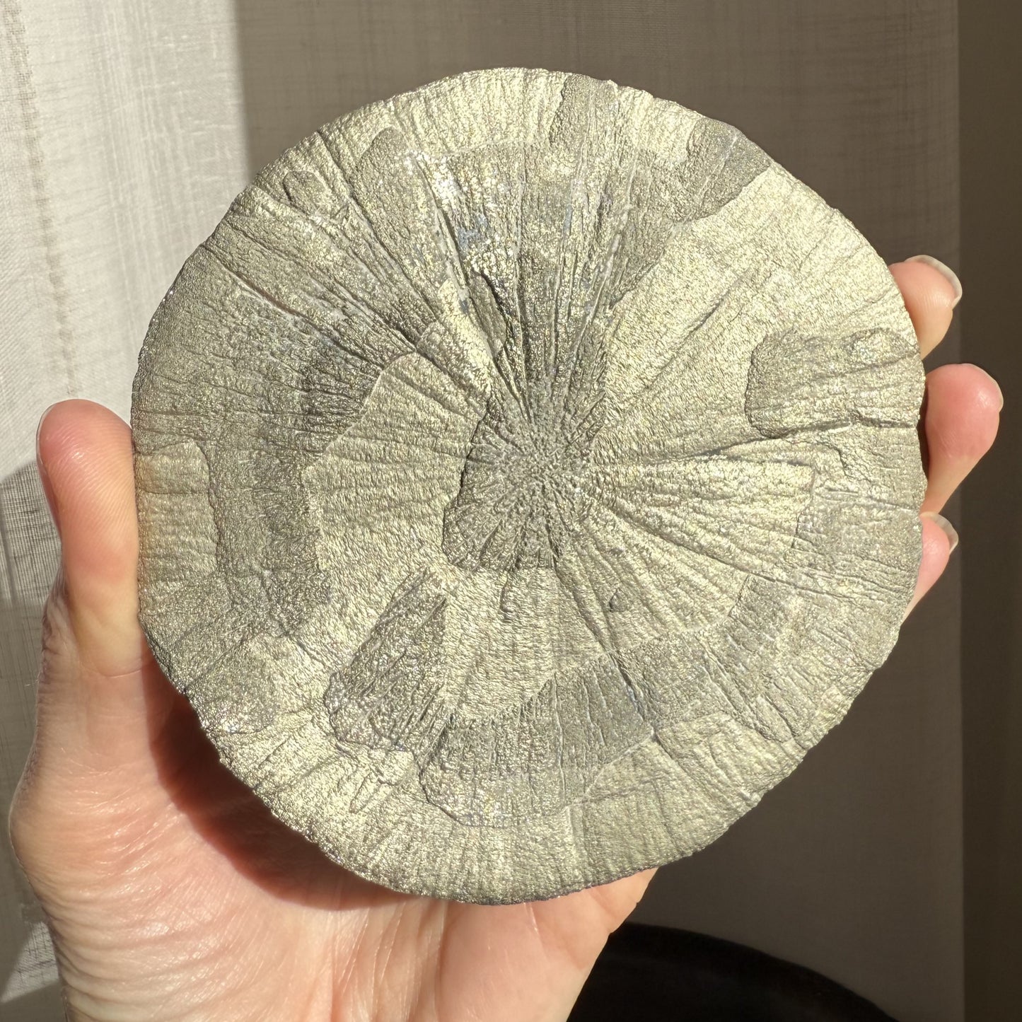 Pyrite Sun 003
