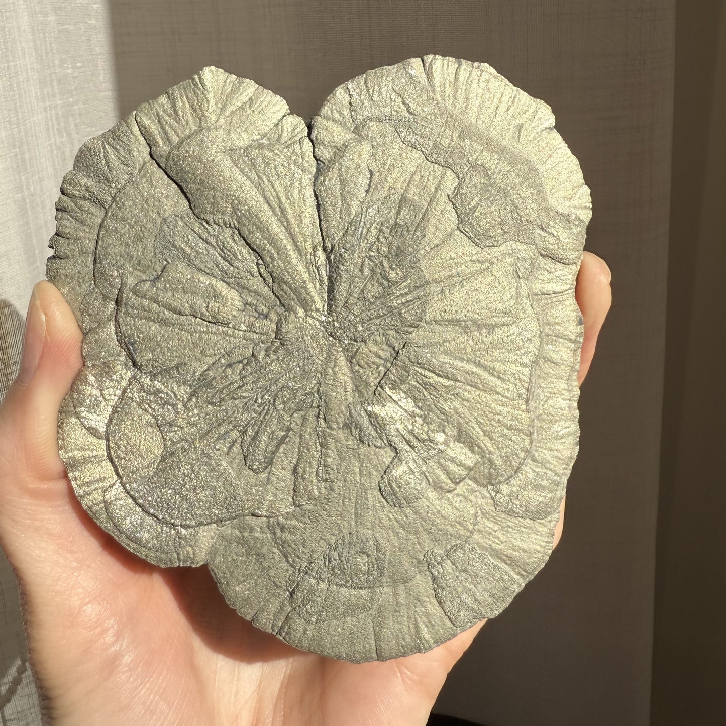 Pyrite Sun 004