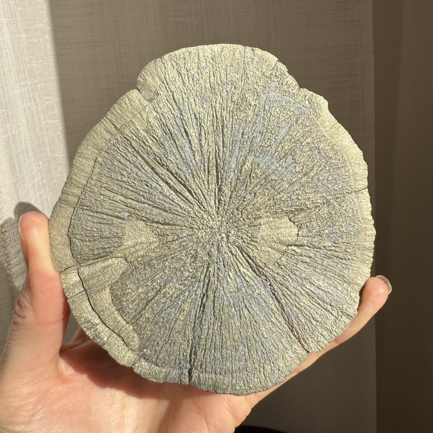 Pyrite Sun 005