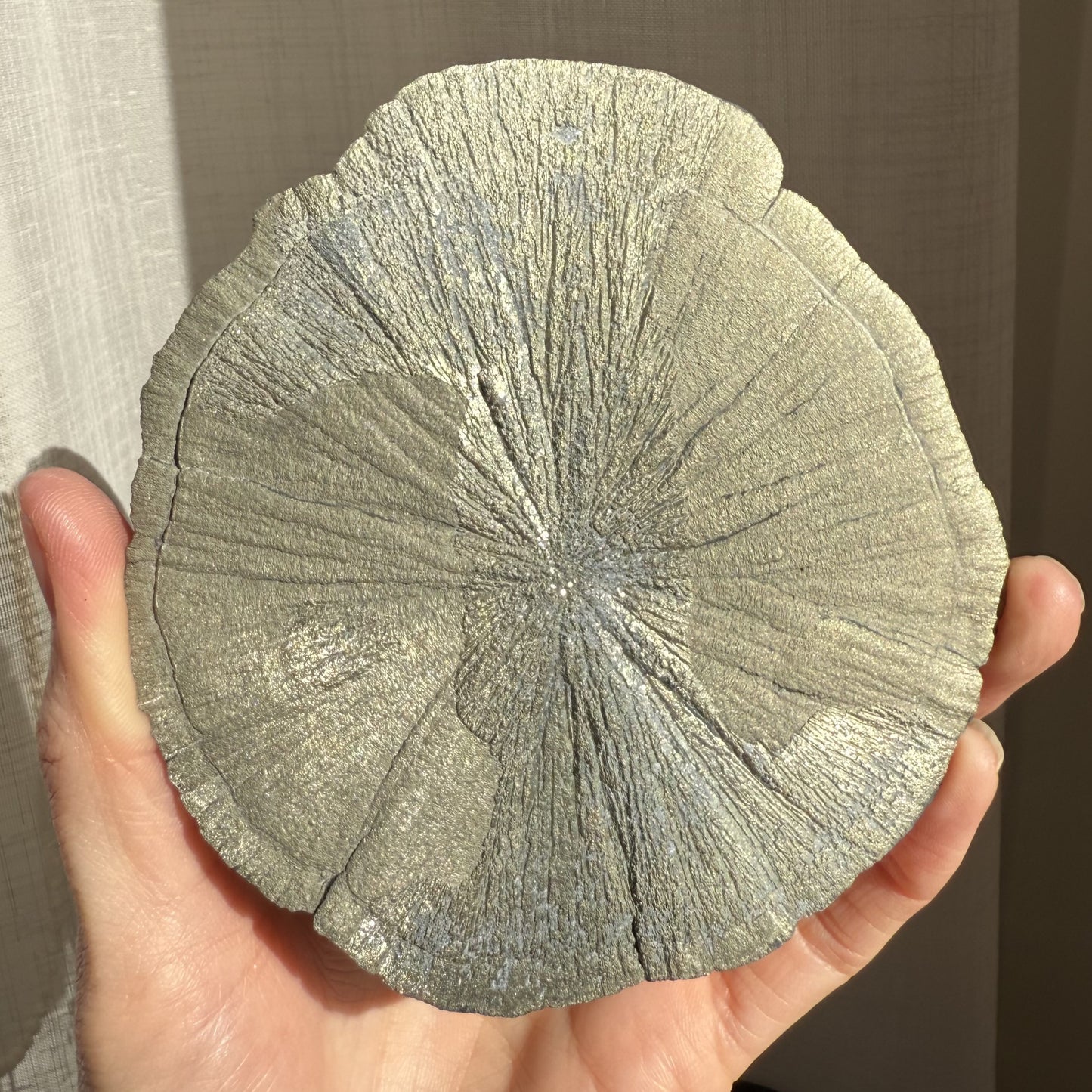 Pyrite Sun 005