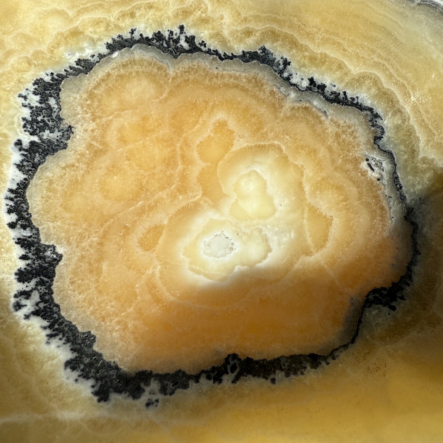 Zebra Calcite Bowl