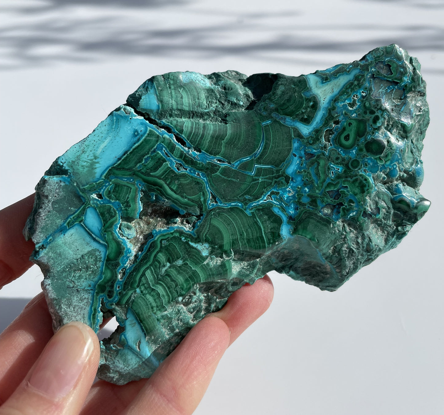Malachite Polished Slice with Chrysocolla