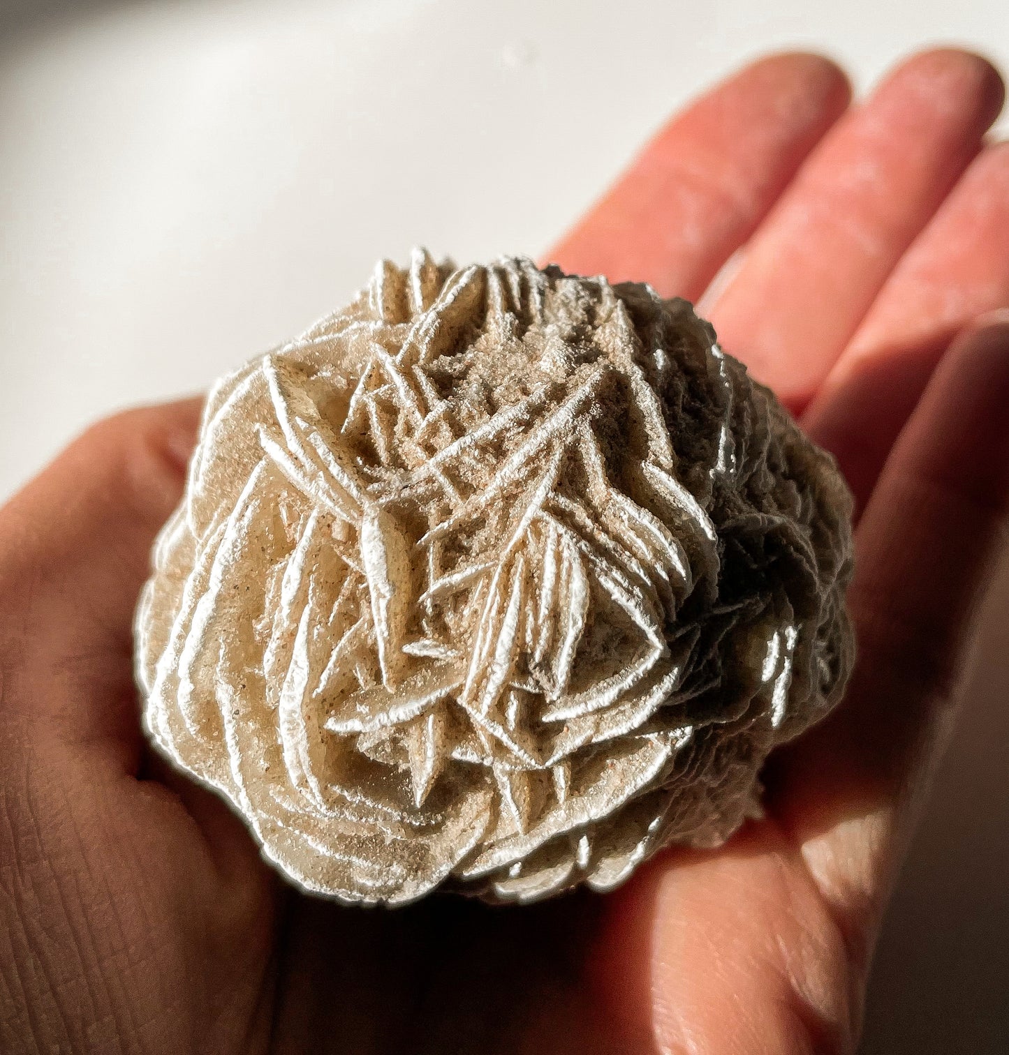 Desert Rose - Intuitively Chosen