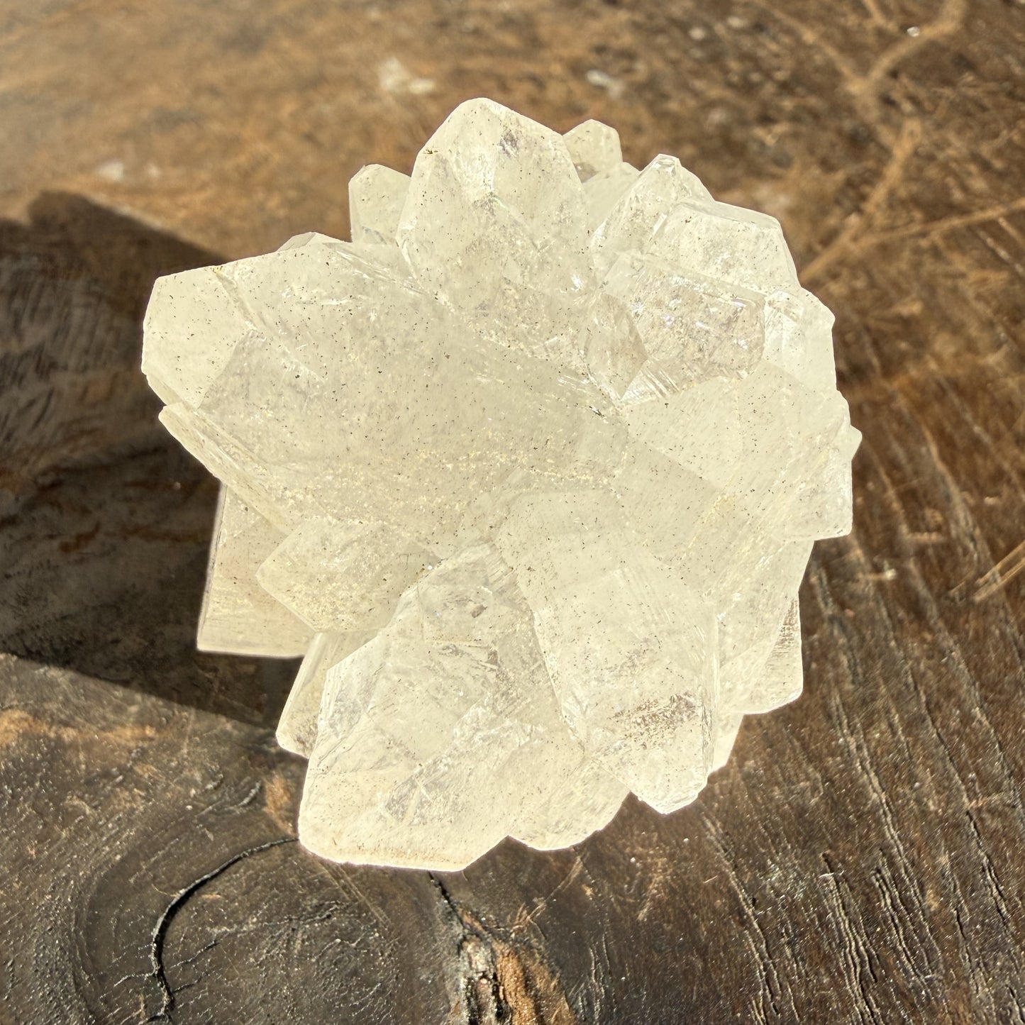 Apophyllite Cluster