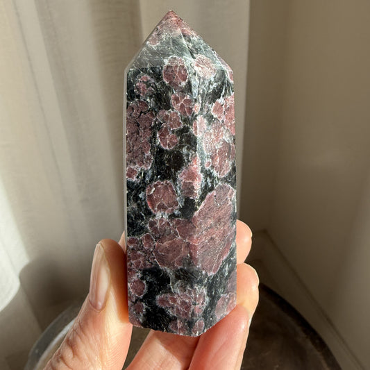 Astrophyllite Garnet Tower - 6