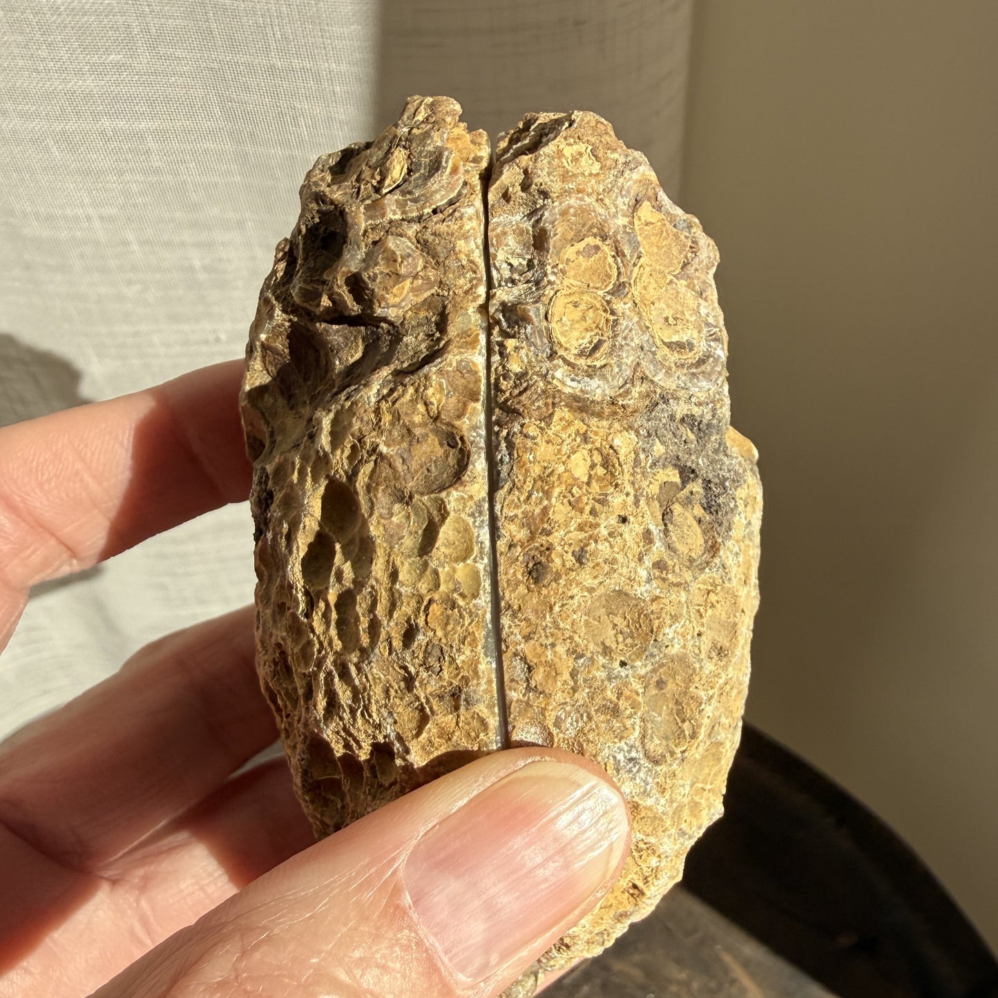 Agate Geode