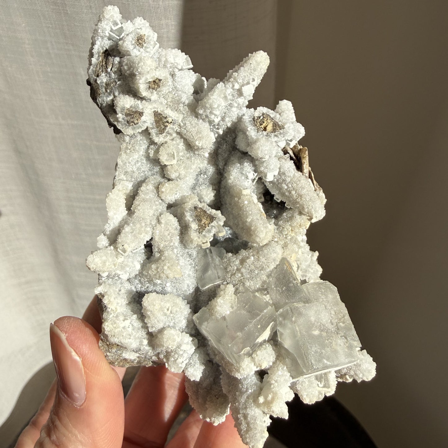 Feather Calcite Cluster 1