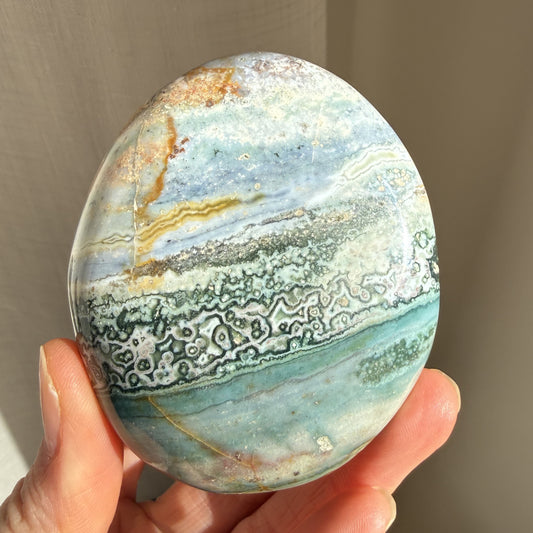 Sea Jasper Palm
