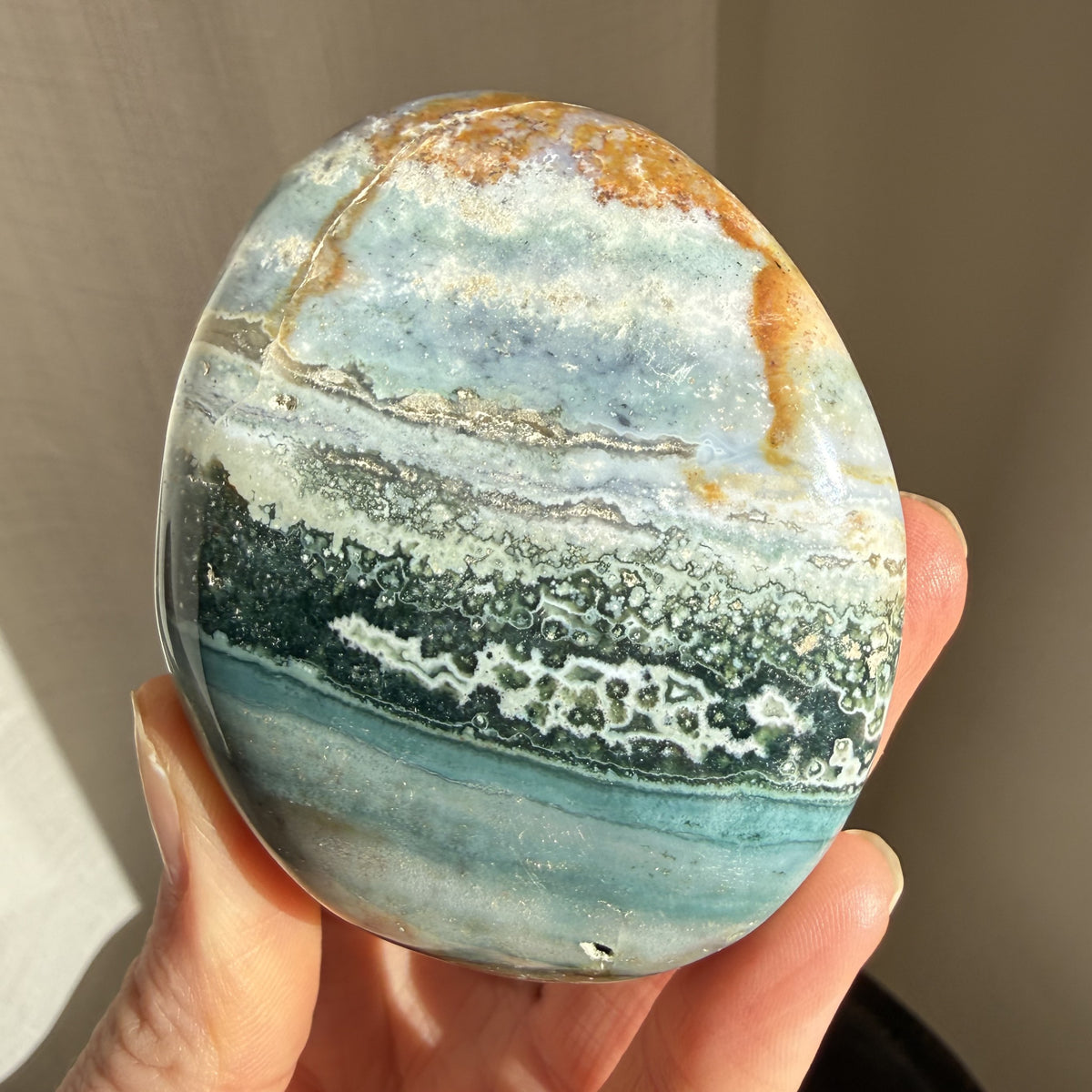 Sea Jasper Palm