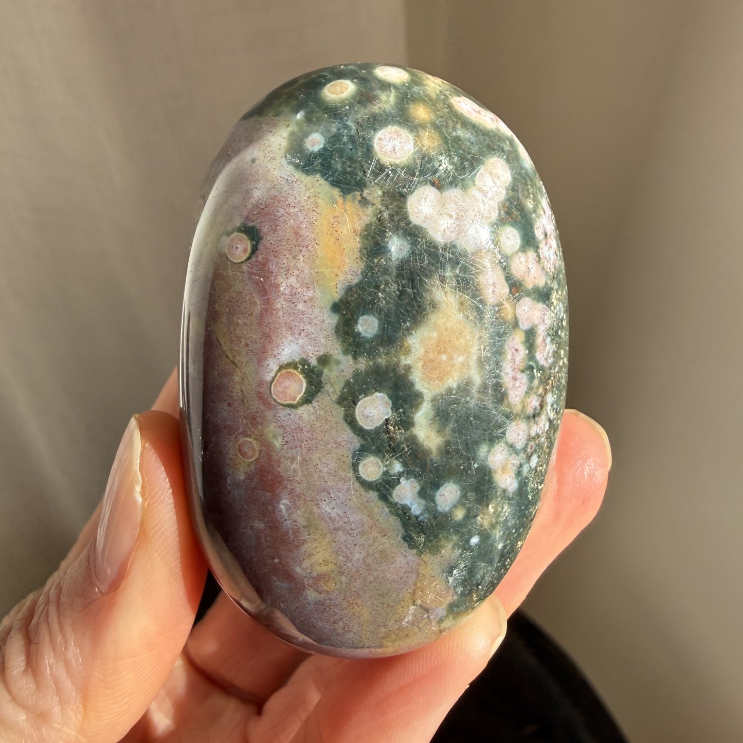Sea Jasper Palm
