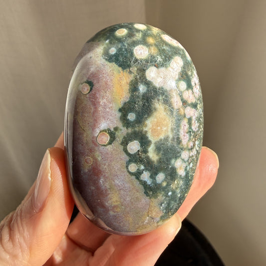 Sea Jasper Palm
