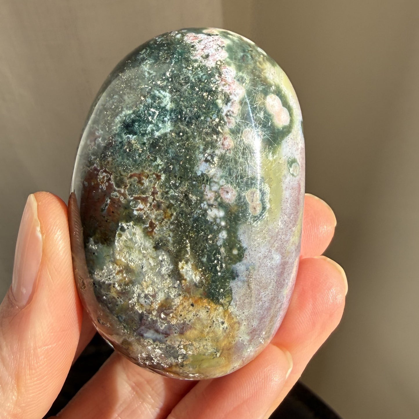 Sea Jasper Palm