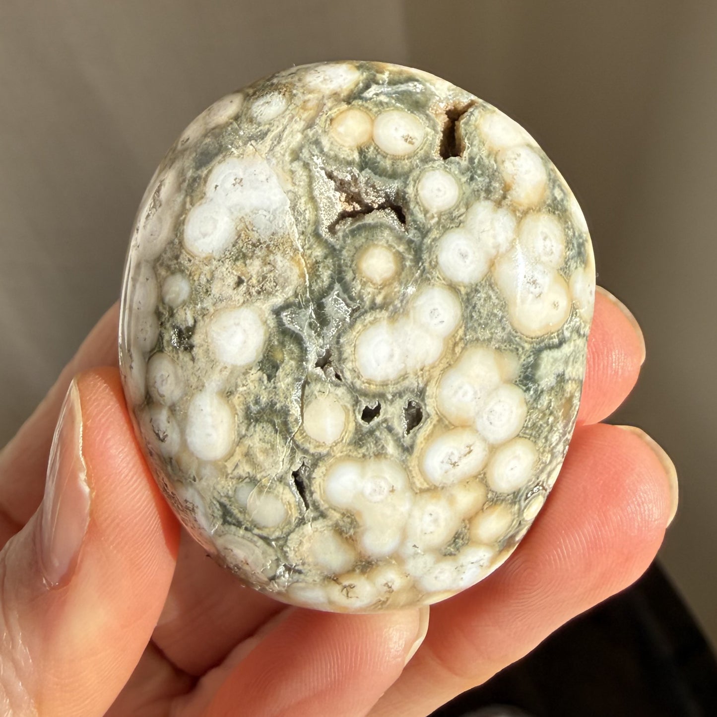 Sea Jasper Palm