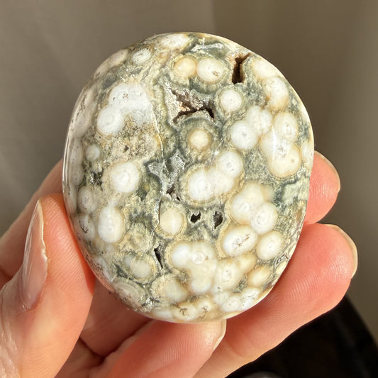 Sea Jasper Palm