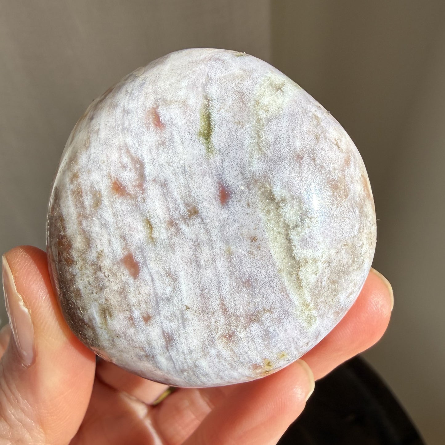 Sea Jasper Palm
