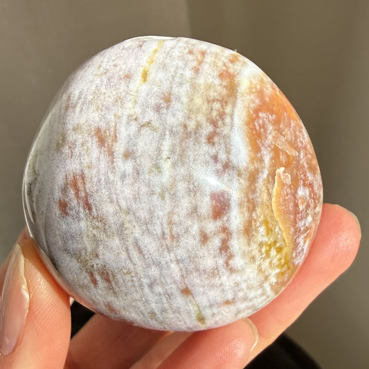 Sea Jasper Palm