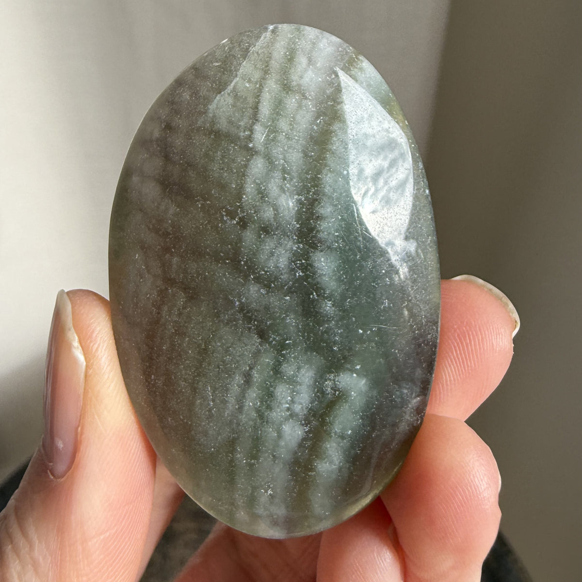 Silk Fluorite Palm 12