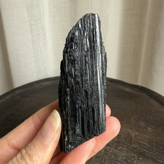 Black Tourmaline Raw Medium 5
