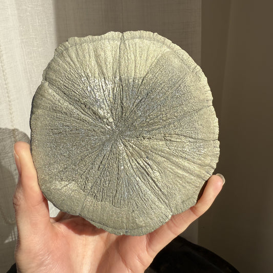 Pyrite Sun 001