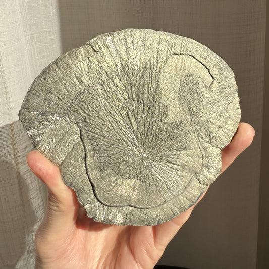 Pyrite Sun 002