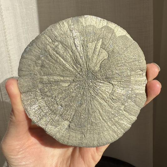 Pyrite Sun 003