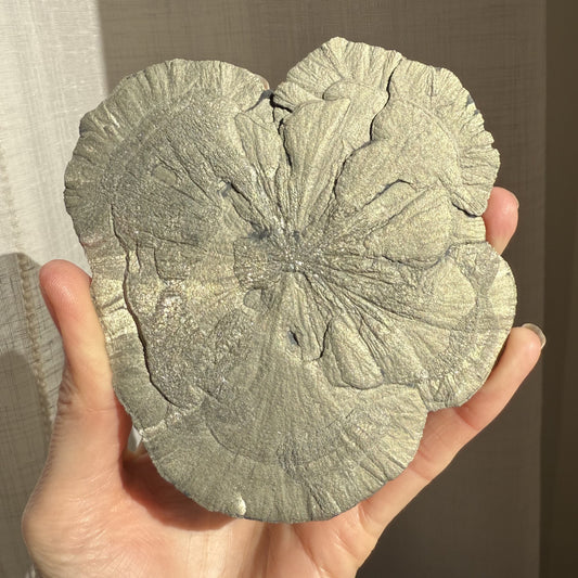 Pyrite Sun 004