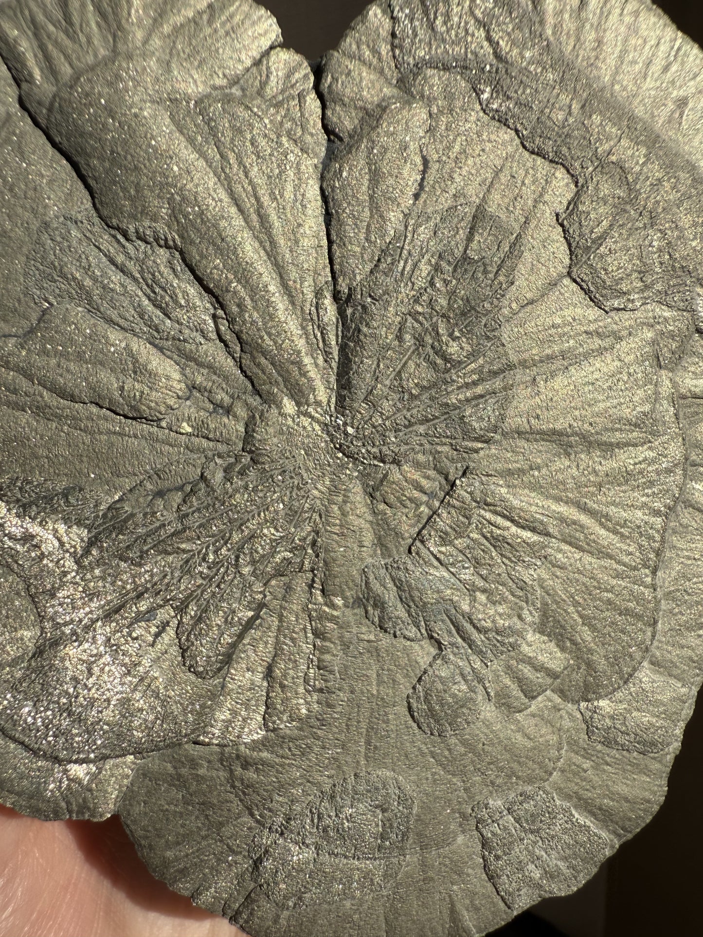 Pyrite Sun 004