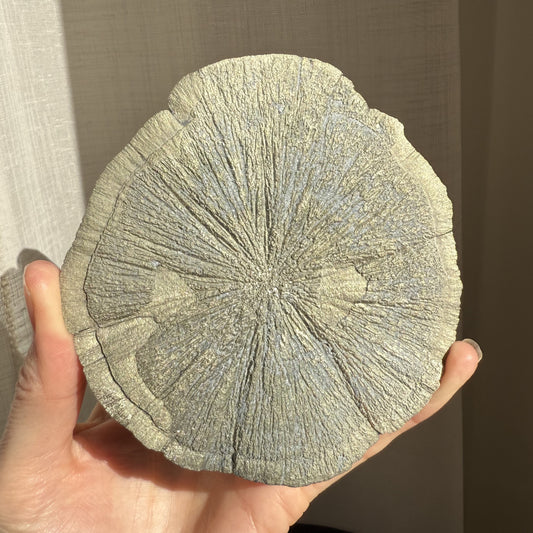 Pyrite Sun 005
