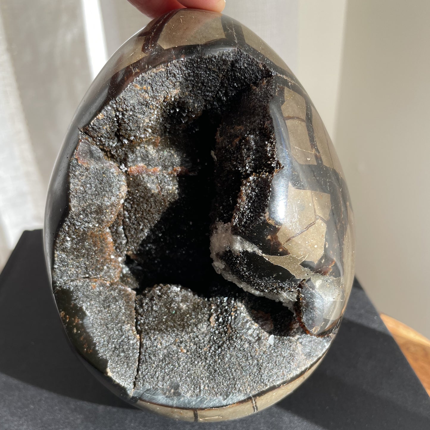 Septarian Egg