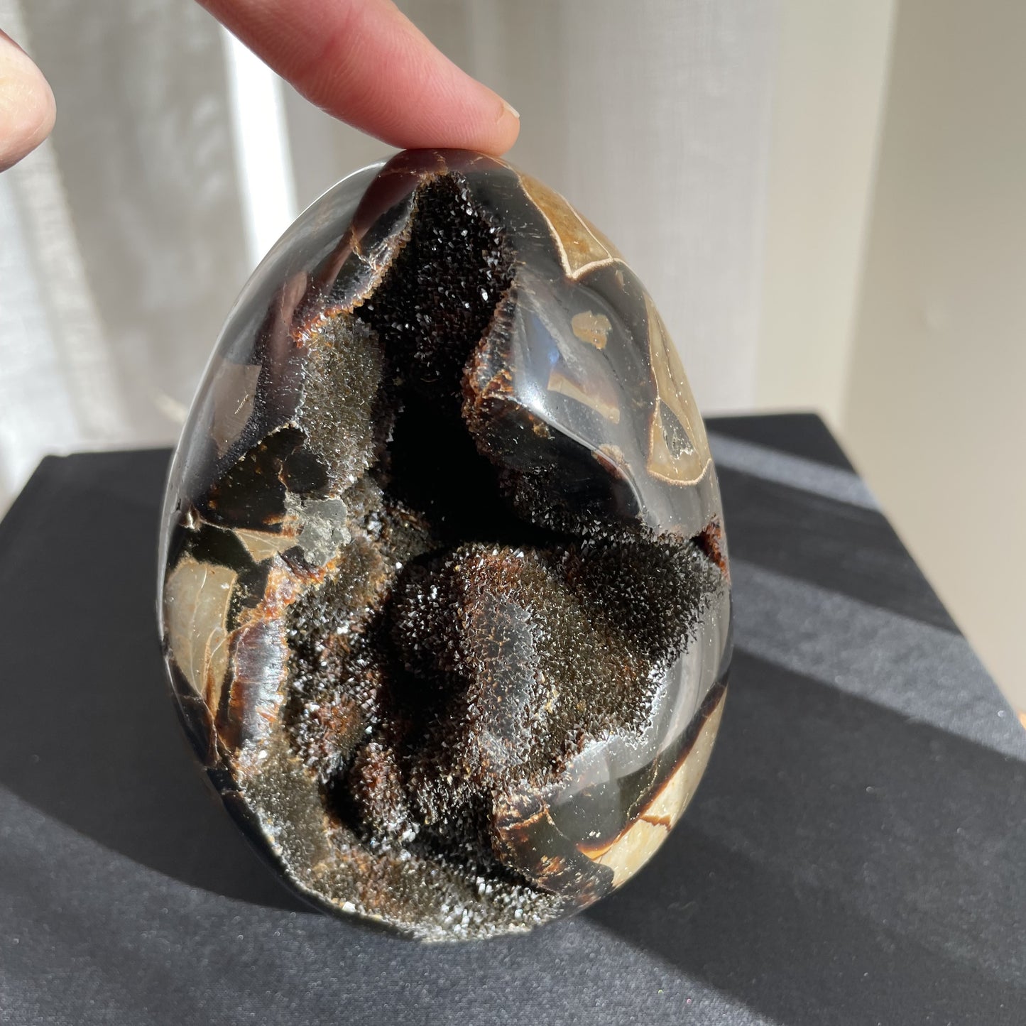 Septarian Egg