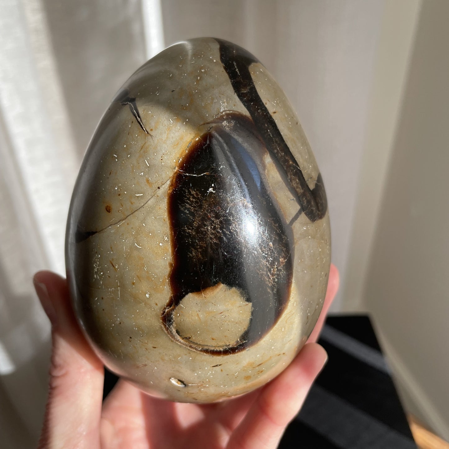 Septarian Egg