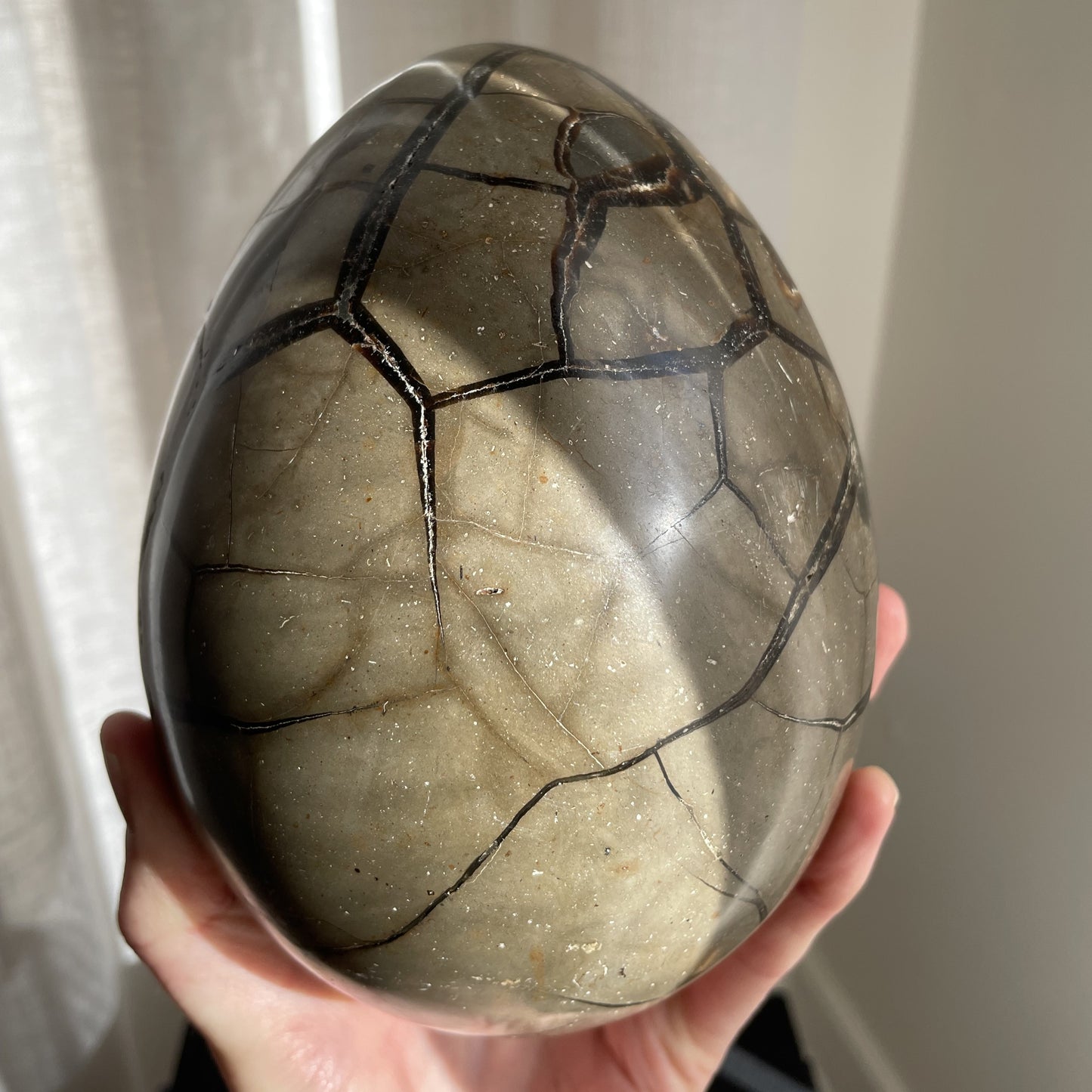 Septarian Egg