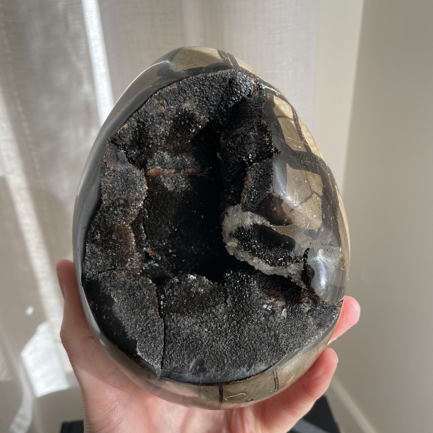 Septarian Egg