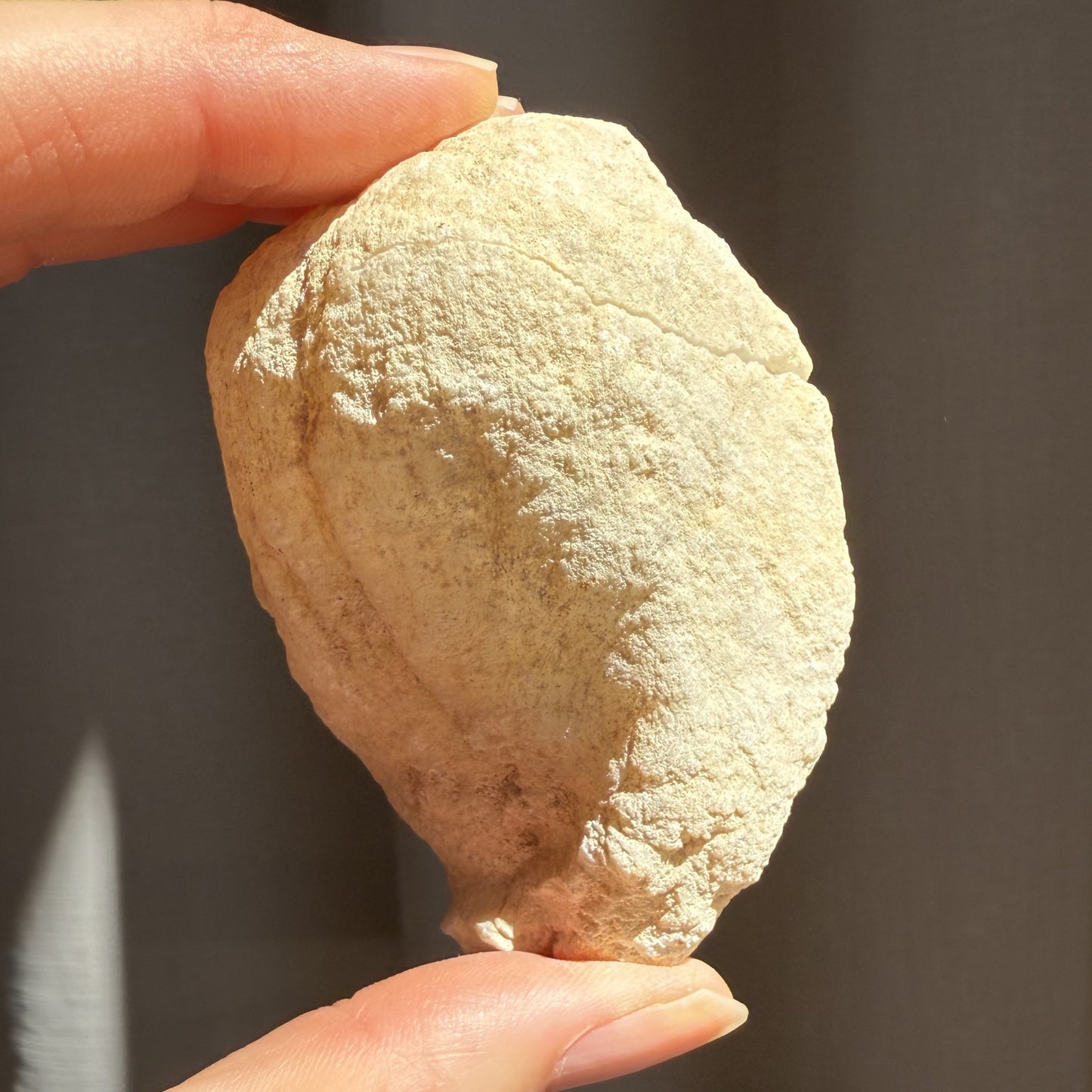 Moroccan Quartz Geode 3