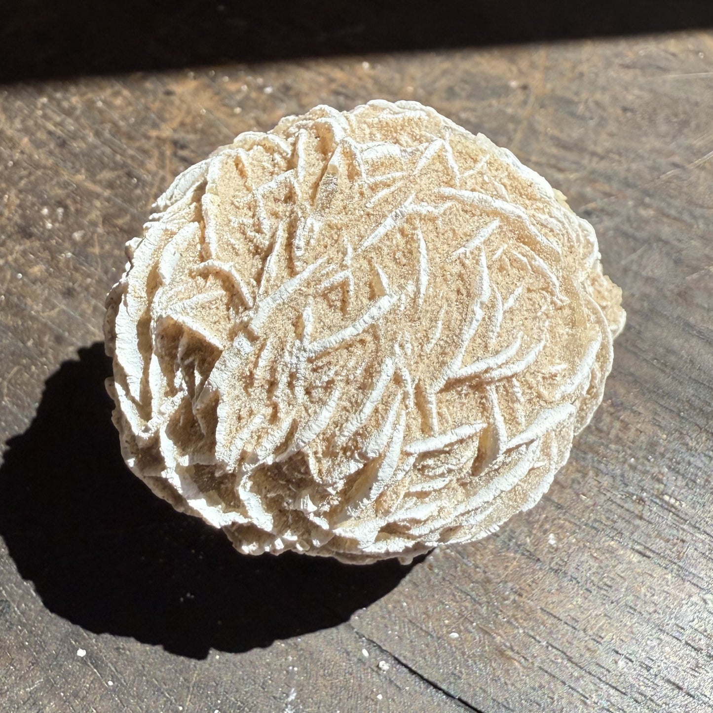 Desert Rose 2