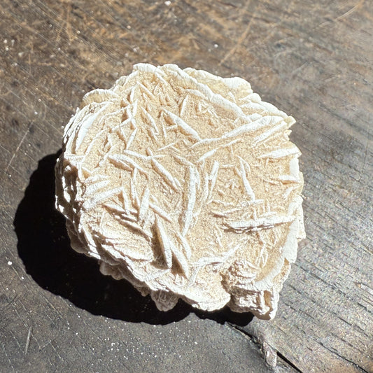 Desert Rose 4