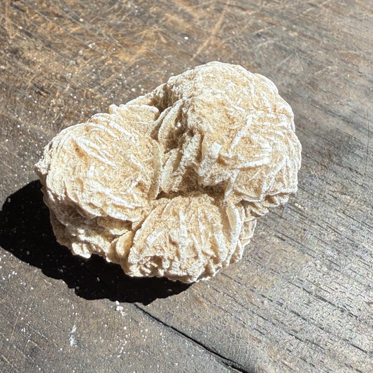 Desert Rose 5