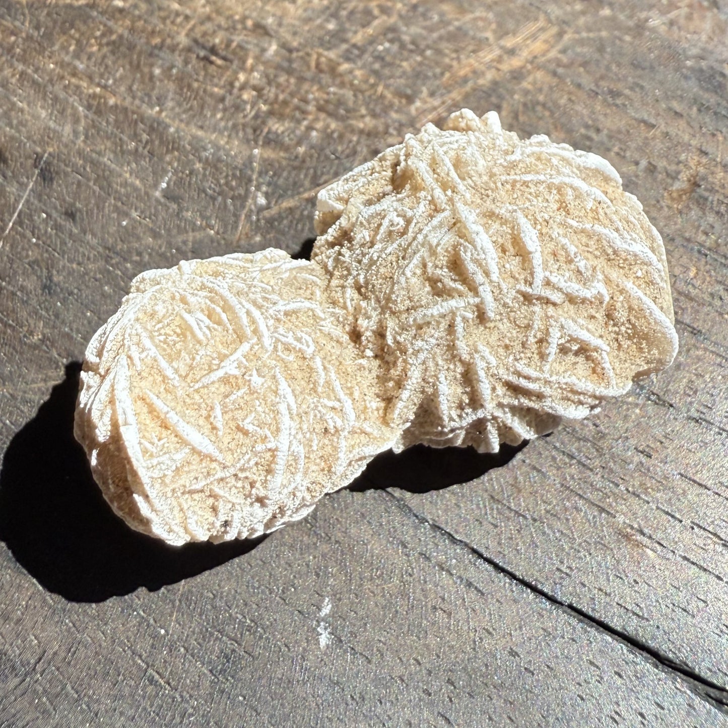 Desert Rose 7