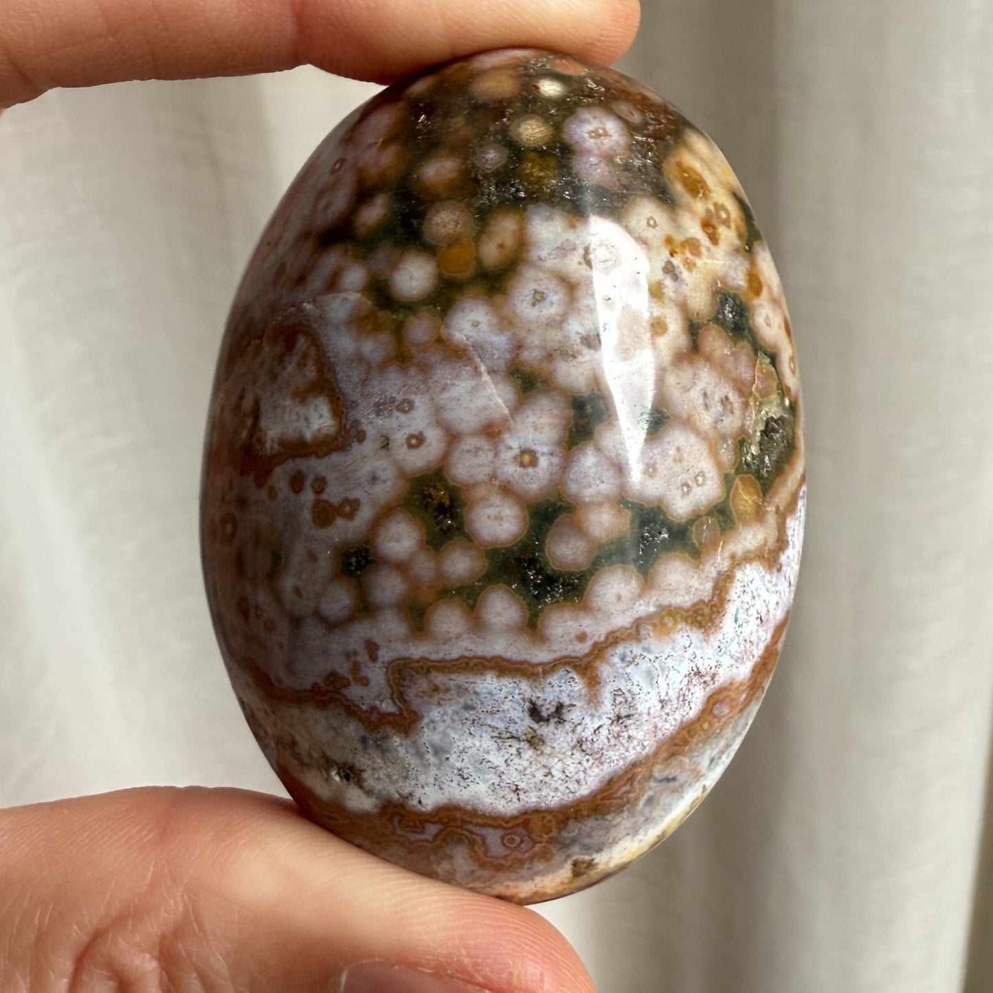 Sea Jasper Palm