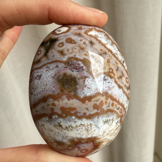 Sea Jasper Palm