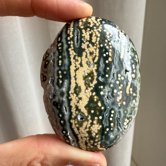 Sea Jasper Palm