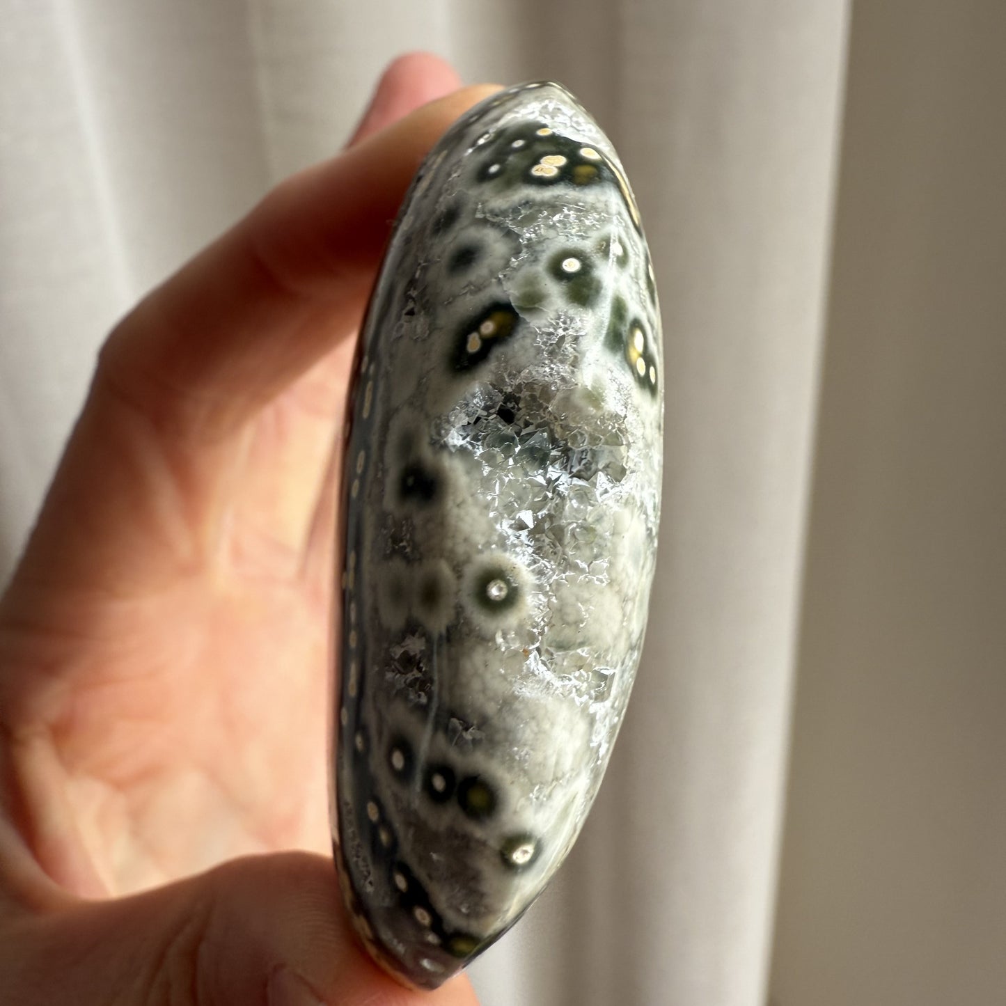 Sea Jasper Palm