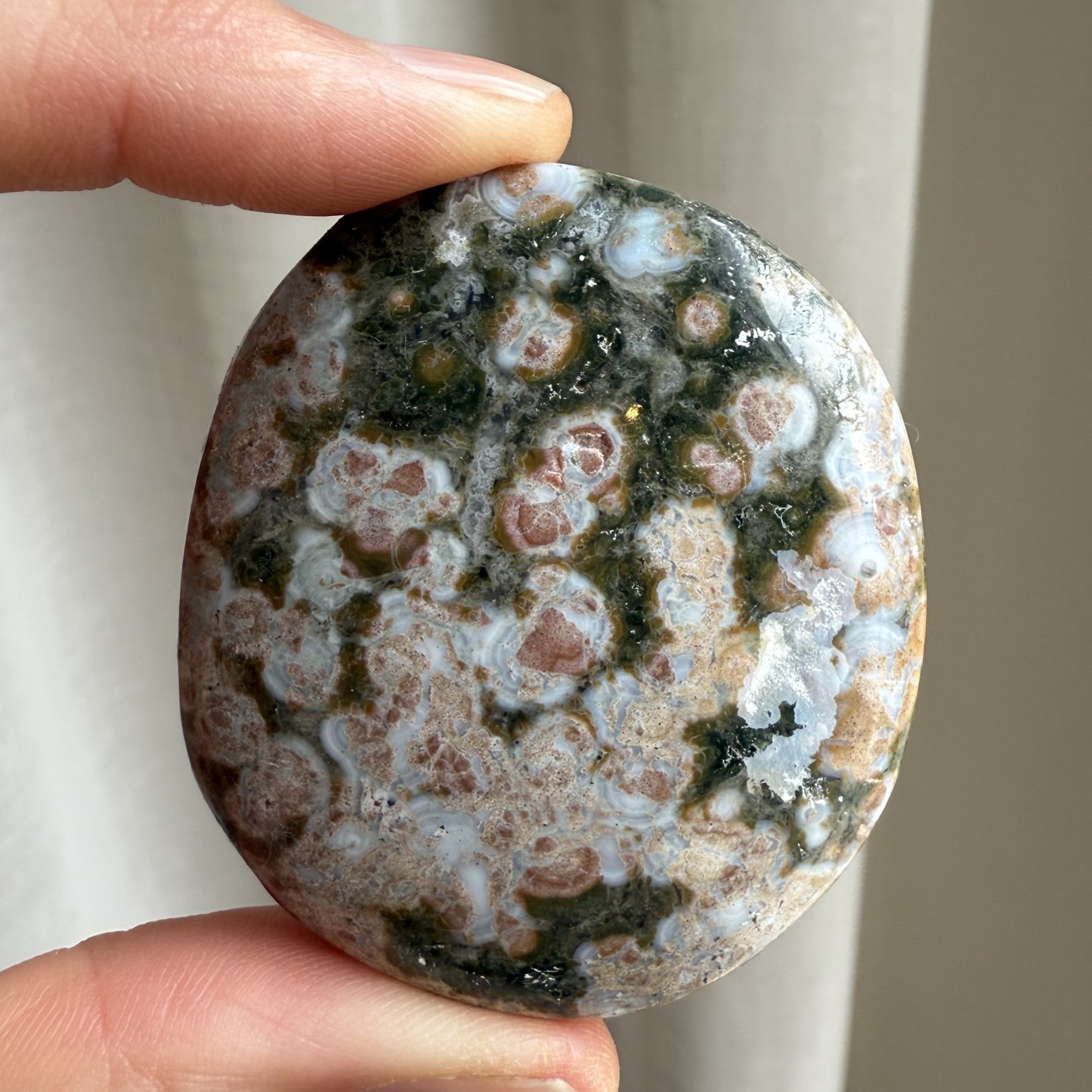 Sea Jasper Palm