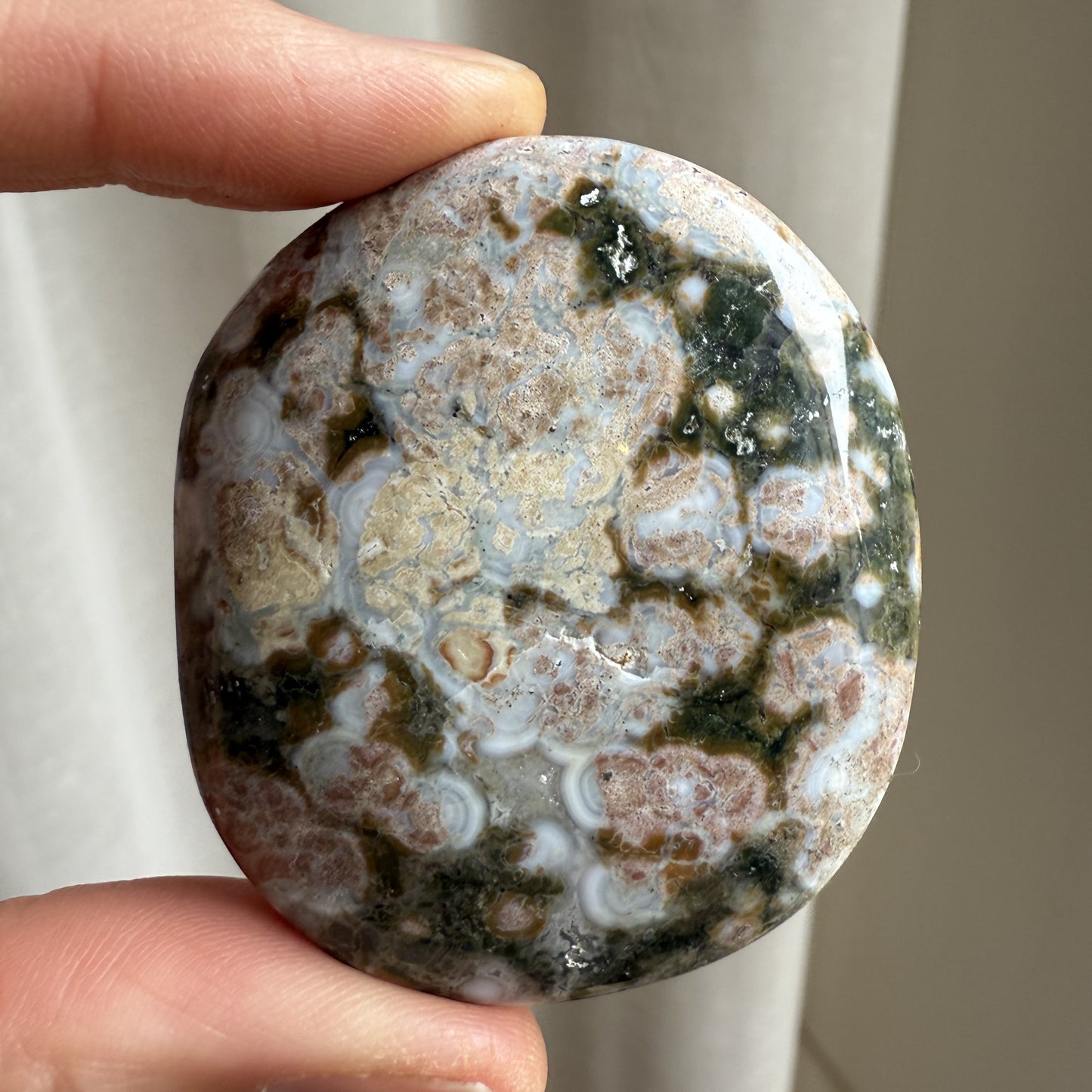 Sea Jasper Palm