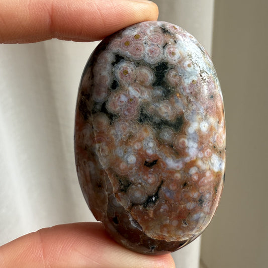 Sea Jasper Palm